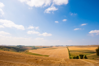 Harvested fields and hedgerows rolling away across the Yorkshire Wolds under a wide summer sky